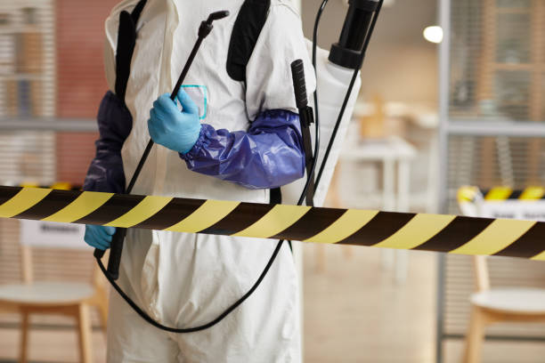 Professional Hoarding Cleanup technician working in Crescent City, FL