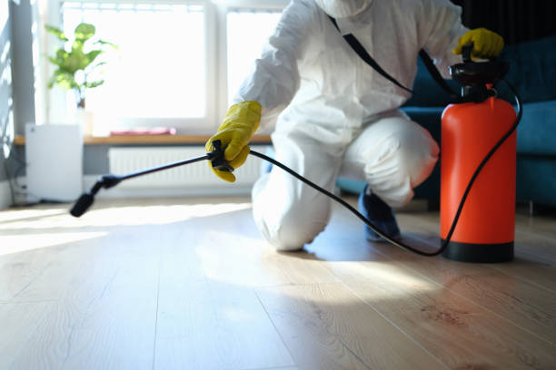 Reliable Hoarding Cleanup contractor in Crescent City, FL by Trauma Clean Pros